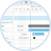 Gantt chart FTTx FTTH planning